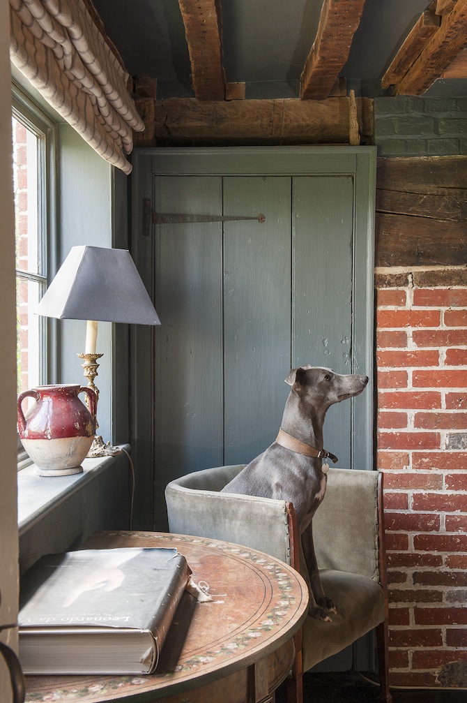 Dogs of Design | Interiors for Families