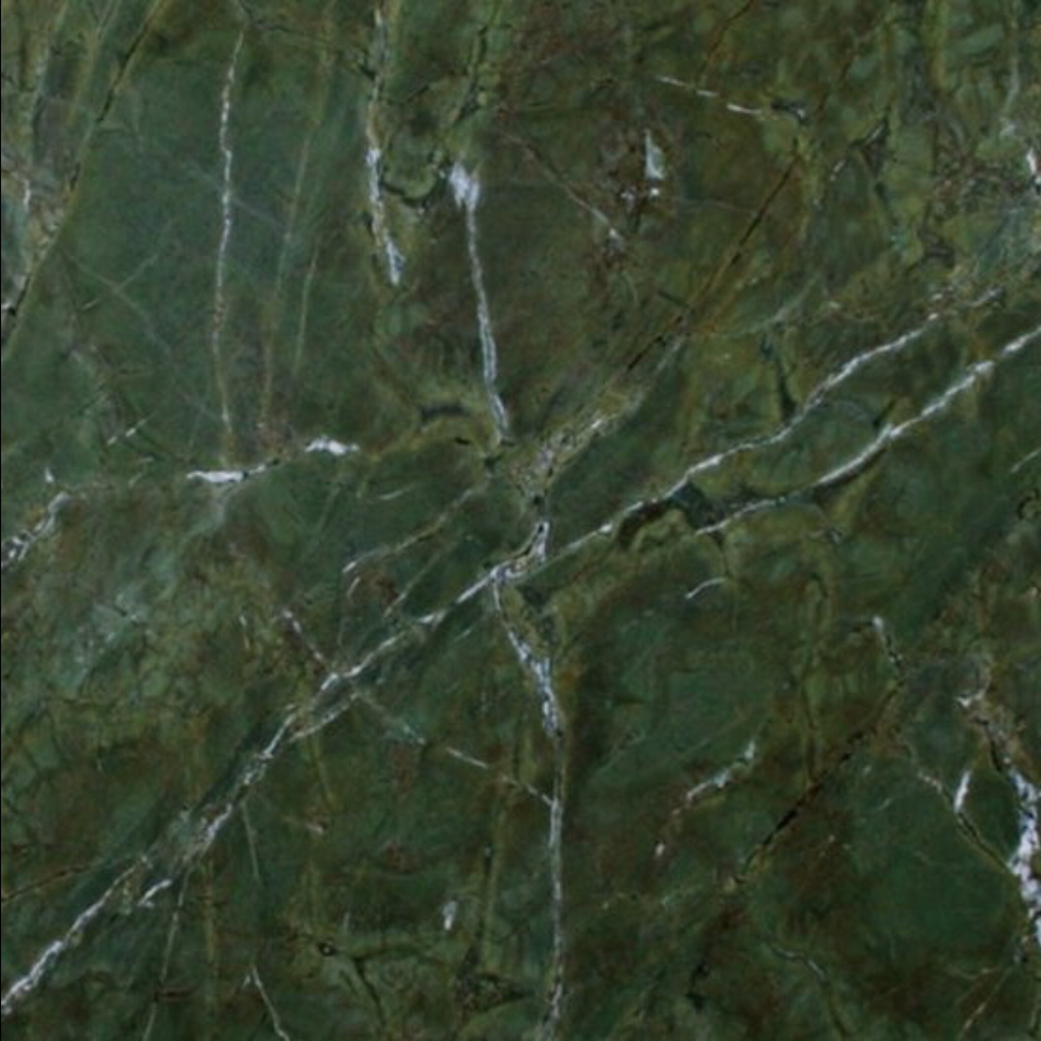 Verde Fantastico | 9 Granites That Just Might Make You Stop Hating on Granite | Interiors for Families | Blog of Kelly Rogers Interiors